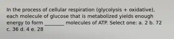 In the process of cellular respiration (glycolysis + oxidative), each molecule of glucose that is metabolized yields enough energy to form ________ molecules of ATP. Select one: a. 2 b. 72 c. 36 d. 4 e. 28