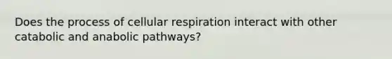 Does the process of cellular respiration interact with other catabolic and anabolic pathways?