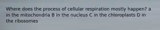 Where does the process of cellular respiration mostly happen? a in the mitochondria B in the nucleus C in the chloroplasts D in the ribosomes