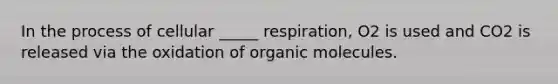 In the process of cellular _____ respiration, O2 is used and CO2 is released via the oxidation of organic molecules.