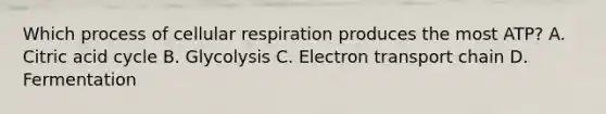 Which process of cellular respiration produces the most ATP? A. Citric acid cycle B. Glycolysis C. Electron transport chain D. Fermentation