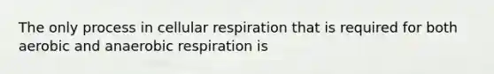 The only process in cellular respiration that is required for both aerobic and anaerobic respiration is