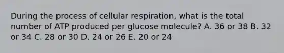 During the process of <a href='https://www.questionai.com/knowledge/k1IqNYBAJw-cellular-respiration' class='anchor-knowledge'>cellular respiration</a>, what is the total number of ATP produced per glucose molecule? A. 36 or 38 B. 32 or 34 C. 28 or 30 D. 24 or 26 E. 20 or 24