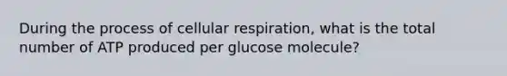 During the process of cellular respiration, what is the total number of ATP produced per glucose molecule?