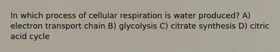 In which process of cellular respiration is water produced? A) electron transport chain B) glycolysis C) citrate synthesis D) citric acid cycle