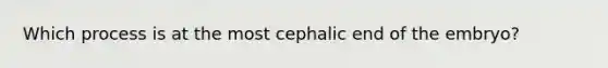 Which process is at the most cephalic end of the embryo?