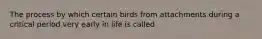 The process by which certain birds from attachments during a critical period very early in life is called