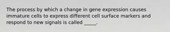 The process by which a change in <a href='https://www.questionai.com/knowledge/kFtiqWOIJT-gene-expression' class='anchor-knowledge'>gene expression</a> causes immature cells to express different cell surface markers and respond to new signals is called _____.