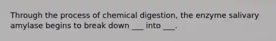 Through the process of chemical digestion, the enzyme salivary amylase begins to break down ___ into ___.