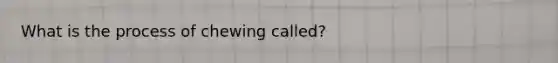 What is the process of chewing called?