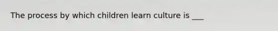 The process by which children learn culture is ___