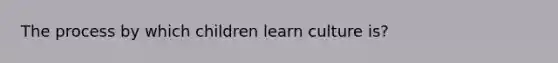 The process by which children learn culture is?