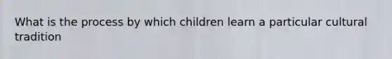 What is the process by which children learn a particular cultural tradition