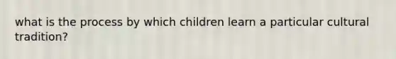 what is the process by which children learn a particular cultural tradition?