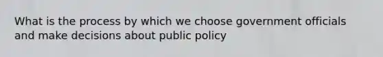 What is the process by which we choose government officials and make decisions about public policy