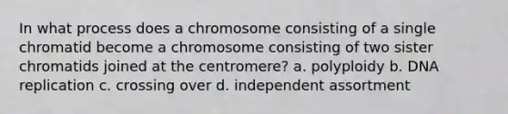 In what process does a chromosome consisting of a single chromatid become a chromosome consisting of two sister chromatids joined at the centromere? a. polyploidy b. DNA replication c. crossing over d. independent assortment