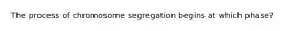 The process of chromosome segregation begins at which phase?