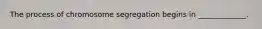 The process of chromosome segregation begins in _____________.