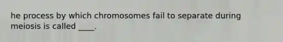 he process by which chromosomes fail to separate during meiosis is called ____.