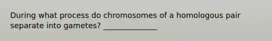 During what process do chromosomes of a homologous pair separate into gametes? ______________