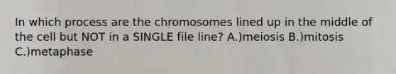 In which process are the chromosomes lined up in the middle of the cell but NOT in a SINGLE file line? A.)meiosis B.)mitosis C.)metaphase