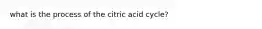 what is the process of the citric acid cycle?