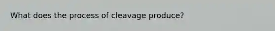 What does the process of cleavage produce?