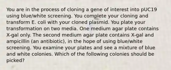 You are in the process of cloning a gene of interest into pUC19 using blue/white screening. You complete your cloning and transform E. coli with your cloned plasmid. You plate your transformation on two media. One medium agar plate contains X-gal only. The second medium agar plate contains X-gal and ampicillin (an antibiotic), in the hope of using blue/white screening. You examine your plates and see a mixture of blue and white colonies. Which of the following colonies should be picked?