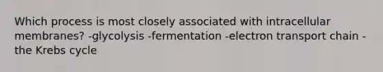 Which process is most closely associated with intracellular membranes? -glycolysis -fermentation -electron transport chain -the <a href='https://www.questionai.com/knowledge/kqfW58SNl2-krebs-cycle' class='anchor-knowledge'>krebs cycle</a>