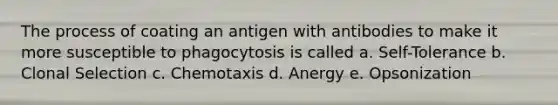 The process of coating an antigen with antibodies to make it more susceptible to phagocytosis is called a. Self-Tolerance b. Clonal Selection c. Chemotaxis d. Anergy e. Opsonization