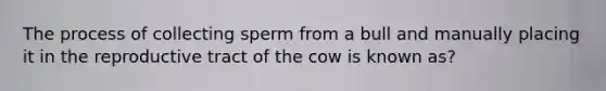 The process of collecting sperm from a bull and manually placing it in the reproductive tract of the cow is known as?