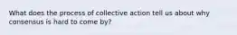 What does the process of collective action tell us about why consensus is hard to come by?