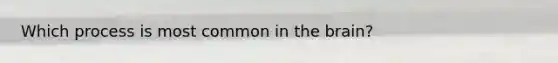 Which process is most common in <a href='https://www.questionai.com/knowledge/kLMtJeqKp6-the-brain' class='anchor-knowledge'>the brain</a>?