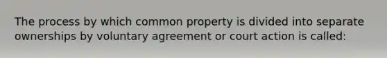 The process by which common property is divided into separate ownerships by voluntary agreement or court action is called: