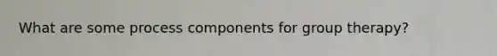 What are some process components for group therapy?