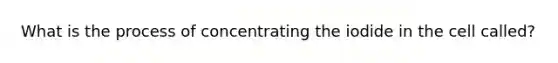 What is the process of concentrating the iodide in the cell called?