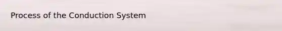 Process of the Conduction System