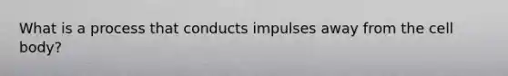 What is a process that conducts impulses away from the cell body?