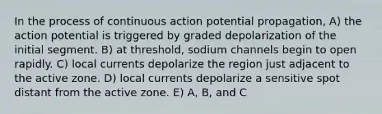 In the process of continuous action potential propagation, A) the action potential is triggered by graded depolarization of the initial segment. B) at threshold, sodium channels begin to open rapidly. C) local currents depolarize the region just adjacent to the active zone. D) local currents depolarize a sensitive spot distant from the active zone. E) A, B, and C