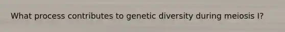 What process contributes to genetic diversity during meiosis I?