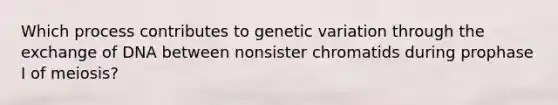 Which process contributes to genetic variation through the exchange of DNA between nonsister chromatids during prophase I of meiosis?