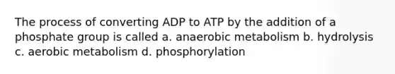 The process of converting ADP to ATP by the addition of a phosphate group is called a. anaerobic metabolism b. hydrolysis c. aerobic metabolism d. phosphorylation