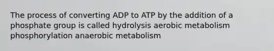 The process of converting ADP to ATP by the addition of a phosphate group is called hydrolysis aerobic metabolism phosphorylation anaerobic metabolism