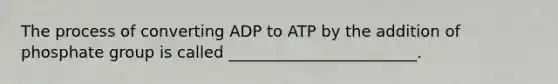 The process of converting ADP to ATP by the addition of phosphate group is called ________________________.