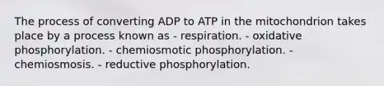 The process of converting ADP to ATP in the mitochondrion takes place by a process known as - respiration. - oxidative phosphorylation. - chemiosmotic phosphorylation. - chemiosmosis. - reductive phosphorylation.