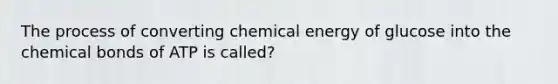 The process of converting chemical energy of glucose into the chemical bonds of ATP is called?