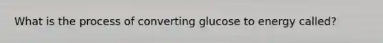 What is the process of converting glucose to energy called?