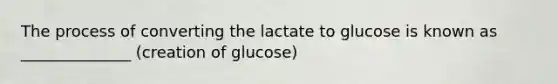 The process of converting the lactate to glucose is known as ______________ (creation of glucose)