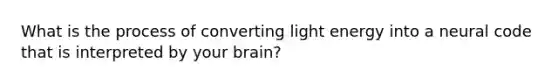 What is the process of converting light energy into a neural code that is interpreted by your brain?