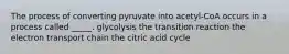 The process of converting pyruvate into acetyl-CoA occurs in a process called _____. glycolysis the transition reaction the electron transport chain the citric acid cycle